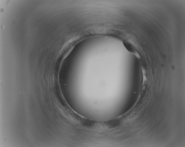 X0000063520207200601271844