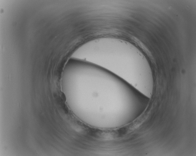 X0000063520209200601271844