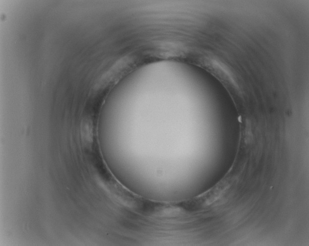 X0000063520210200601271844