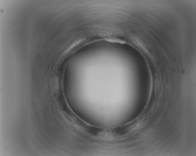 X0000063520211200601271844