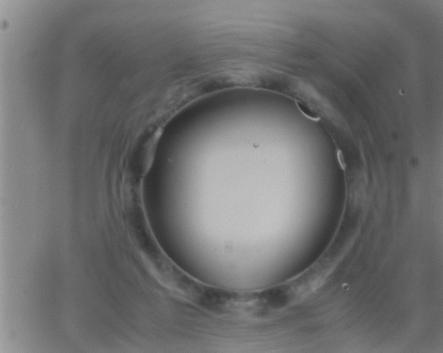 X0000063520213200601271844