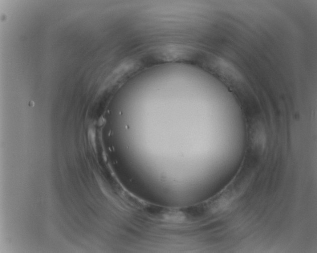 X0000063520214200601271844