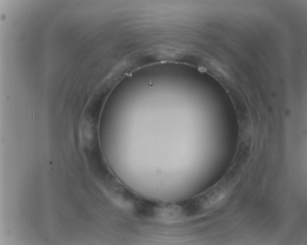 X0000063520215200601271844