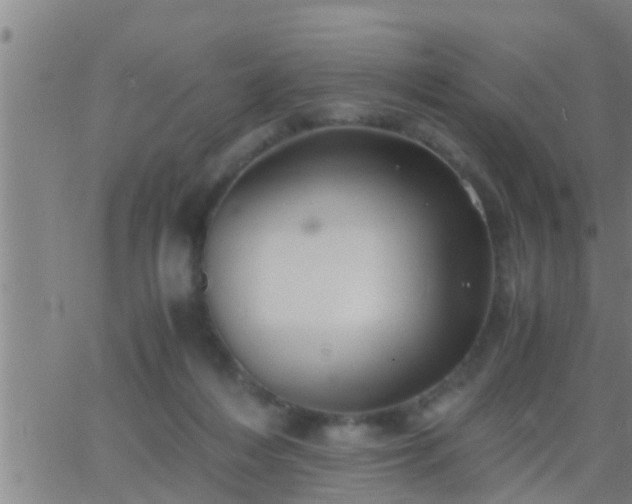 X0000063520216200601271844