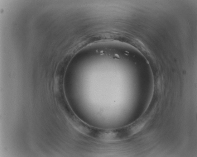 X0000063520217200601271844