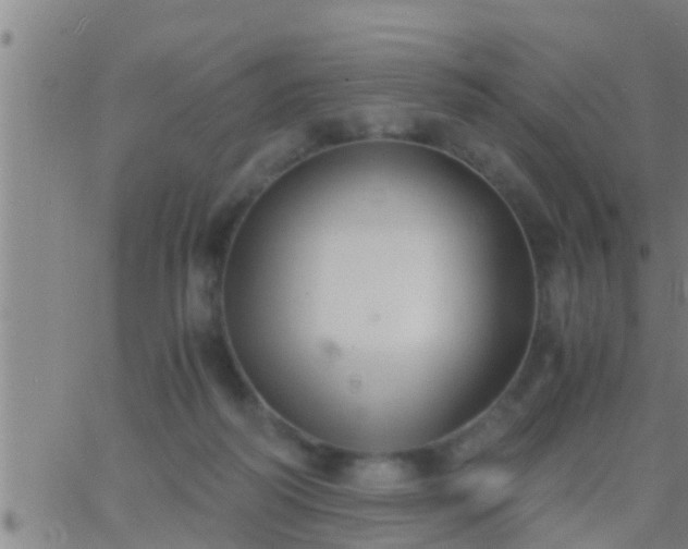 X0000063520218200601271844