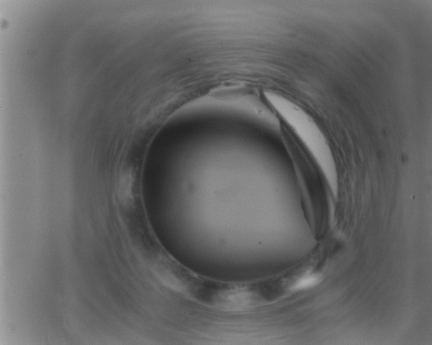 X0000063520219200601271844