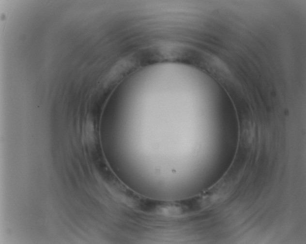 X0000063520220200601271844