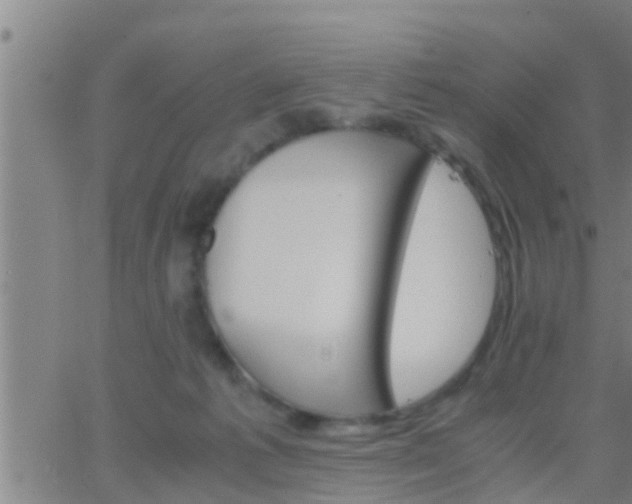 X0000063520221200601271844