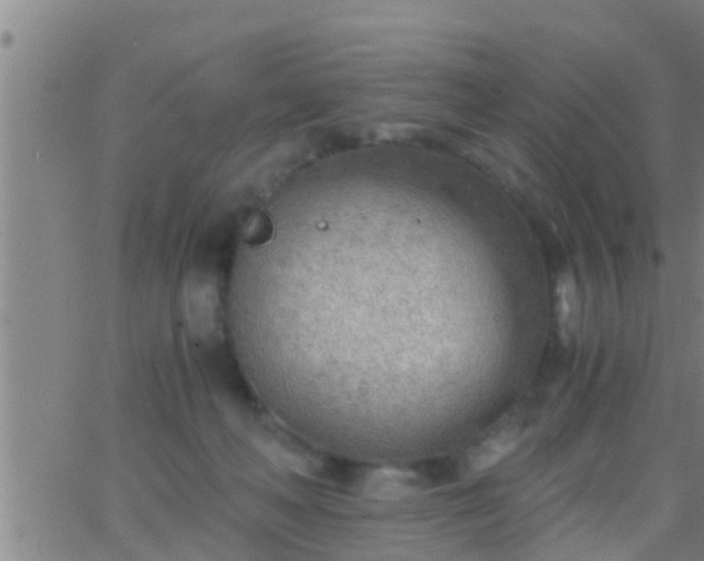 X0000063520222200601271844