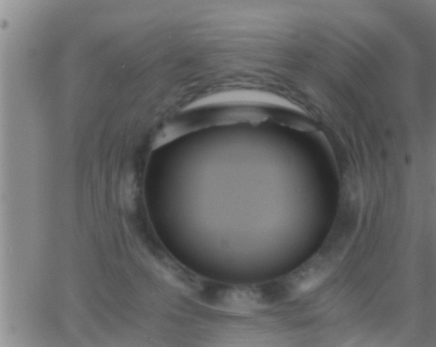 X0000063520223200601271844