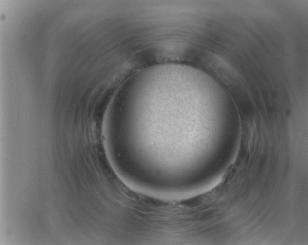 X0000063520224200601271844