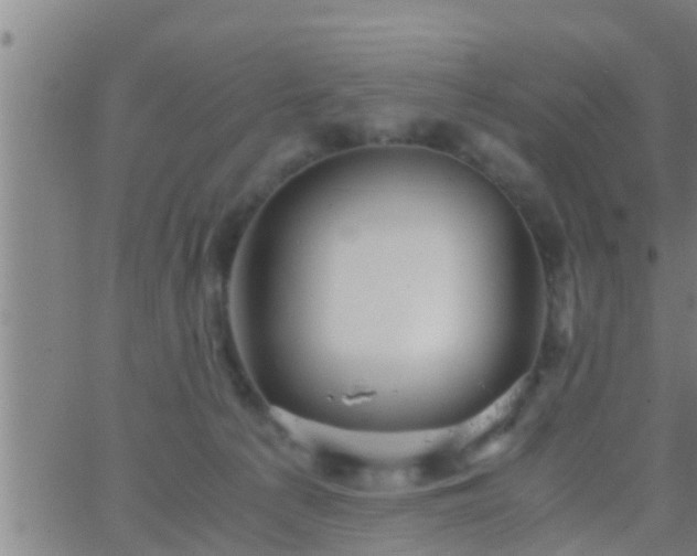 X0000063520225200601271844