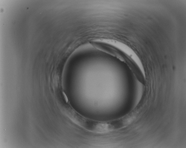 X0000063520227200601271844