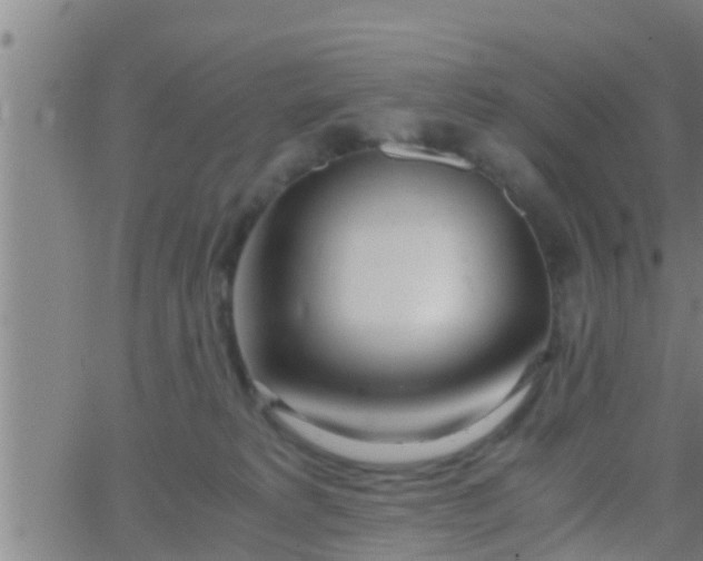 X0000063520229200601271844