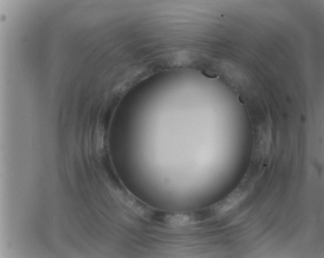 X0000063520230200601271844