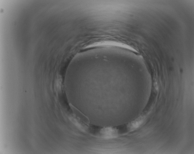 X0000063520231200601271844