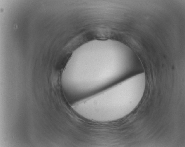 X0000063520233200601271844