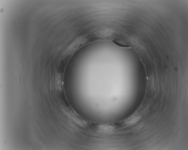 X0000063520234200601271844