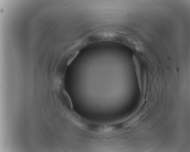 X0000063520235200601271844