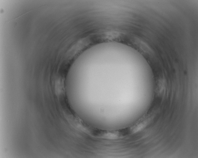 X0000063520236200601271844