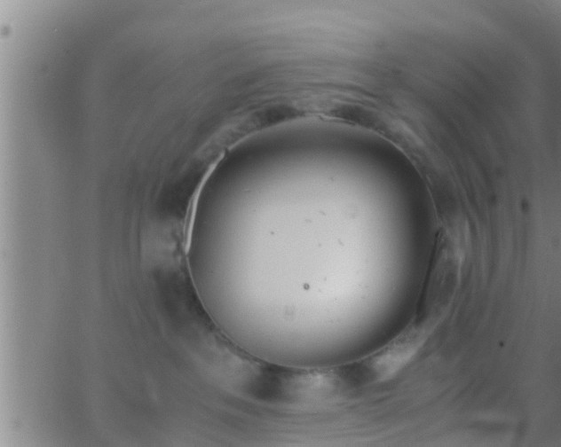 X0000063520237200601271844