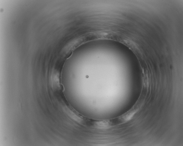 X0000063520238200601271844