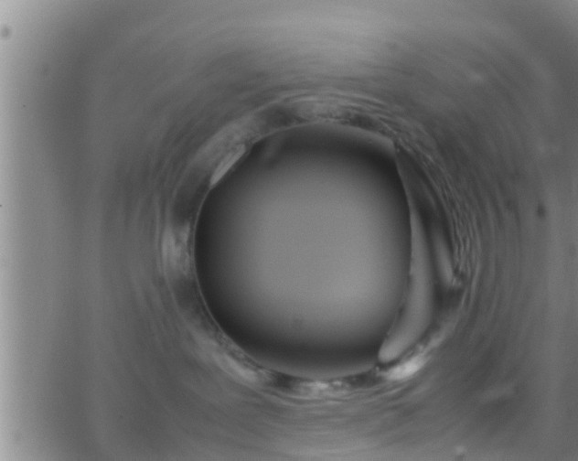 X0000063520239200601271844