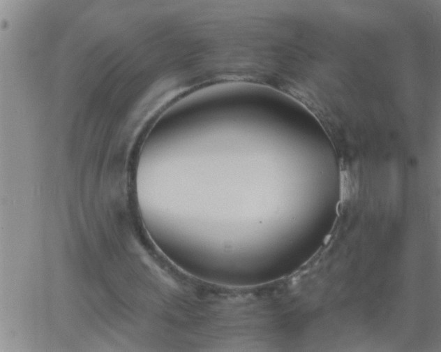 X0000063520243200601271843