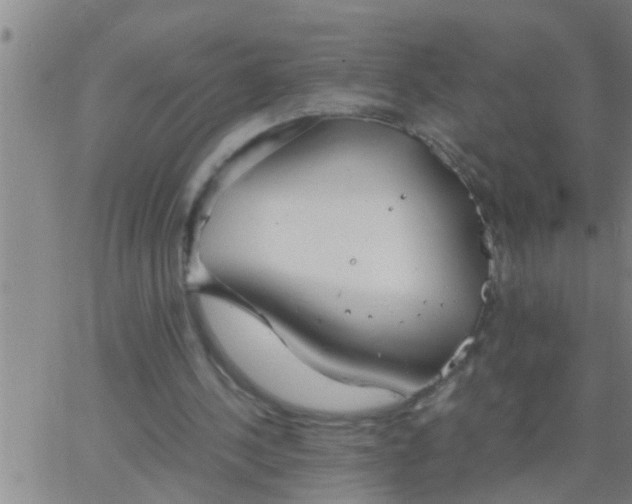 X0000063520244200601271843