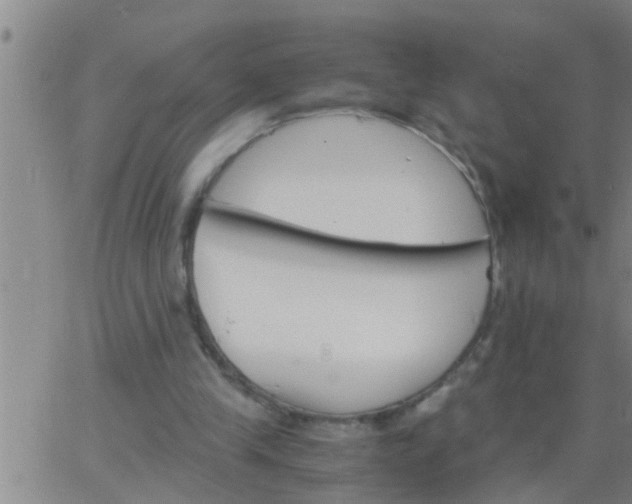 X0000063520245200601271843