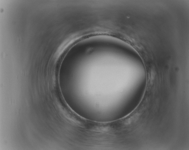 X0000063520247200601271843