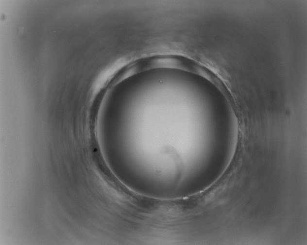 X0000063520248200601271843