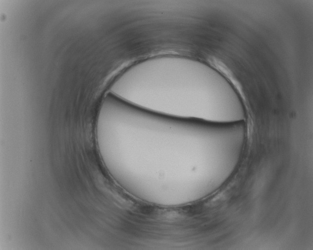 X0000063520249200601271843