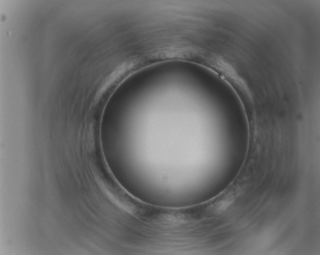 X0000063520250200601271843