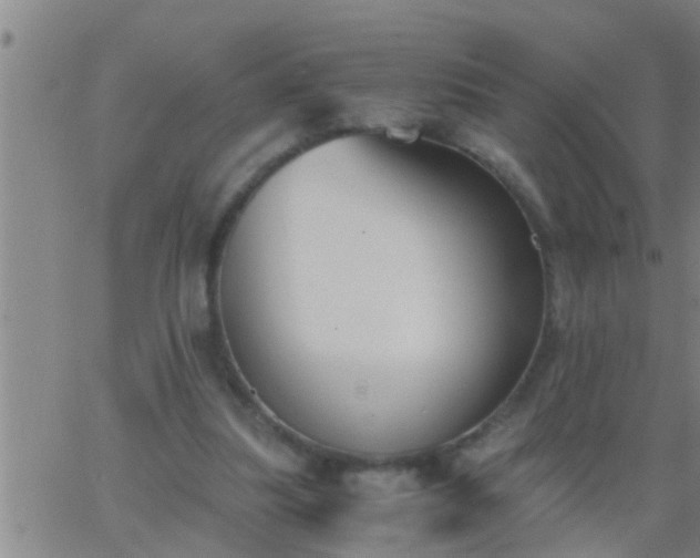 X0000063520251200601271843