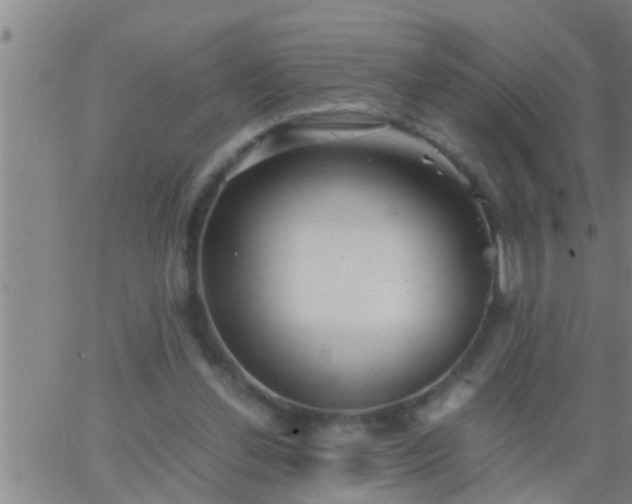 X0000063520252200601271843