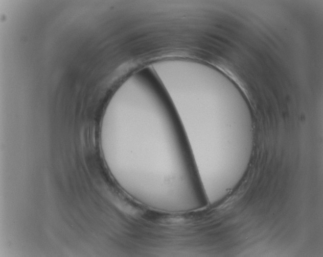 X0000063520253200601271843