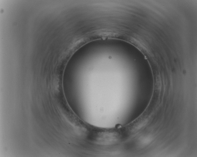 X0000063520255200601271843