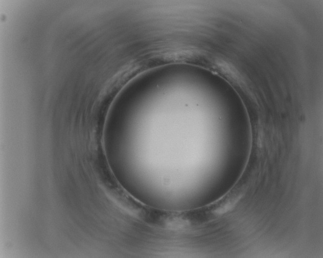 X0000063520258200601271843