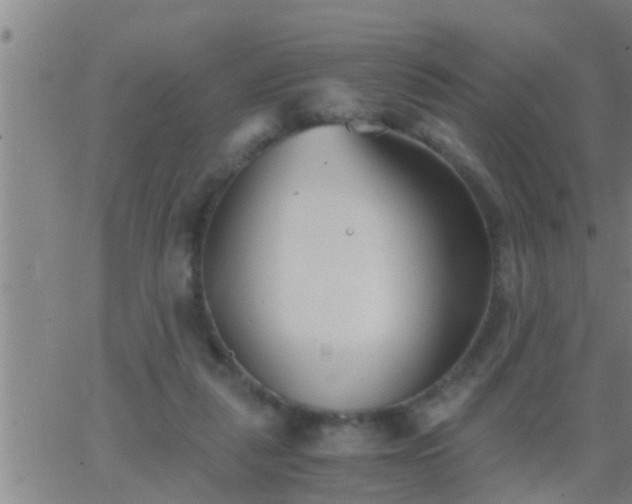 X0000063520259200601271843