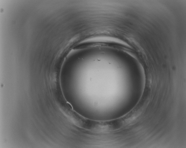 X0000063520260200601271843