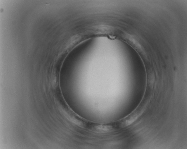 X0000063520261200601271843