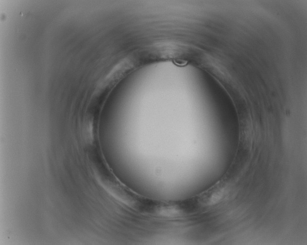 X0000063520262200601271843