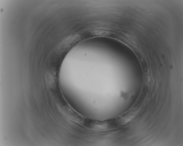 X0000063520263200601271843