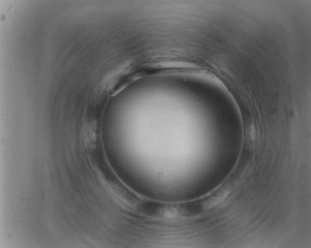 X0000063520264200601271843