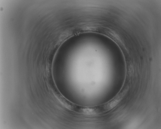 X0000063520265200601271843