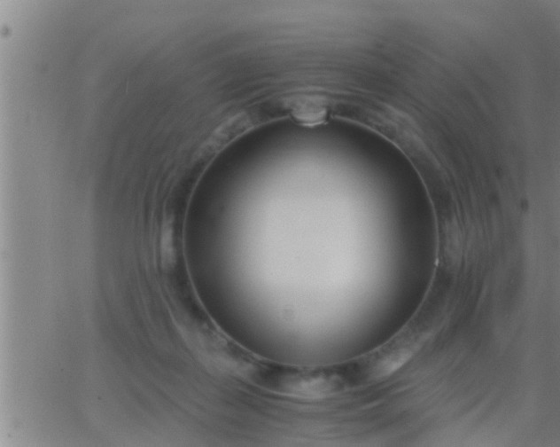 X0000063520267200601271843