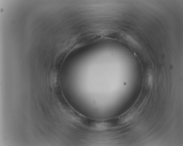 X0000063520268200601271843