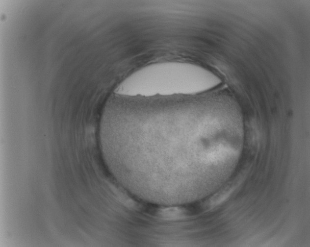 X0000063520269200601271843